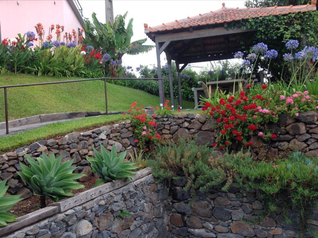 Casa Dos Gatos